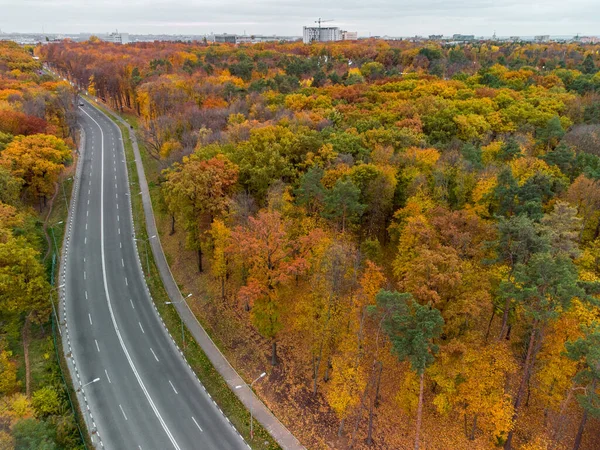 Aerial scenic empty road curve in autumnal vivid forest near residential district. Fly above street in autumn city park. Treetop view on Kharkiv, Ukraine