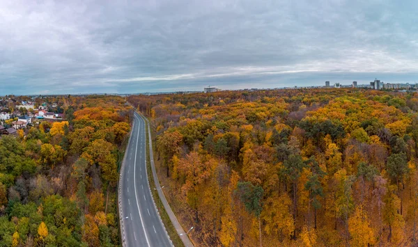 Aerial Scenic Road Panorama Autumnal Residential District Fly Street Autumn — Foto Stock