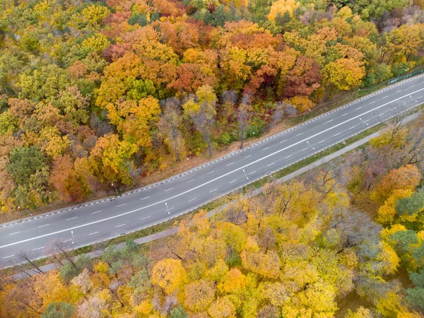 Look down on asphalt driveway road in autumn city park. Aerial on scenic street in autumnal yellow forest. Treetop view on Kharkiv, Ukraine