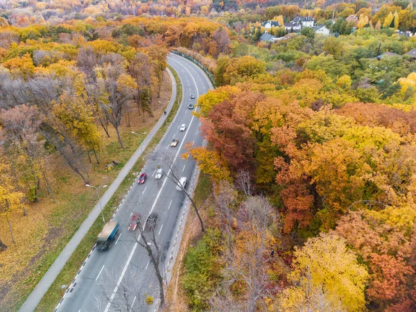 Aerial Traffic Scenic Road Autumnal Yellow Forest Cars Driving Street — Fotografia de Stock