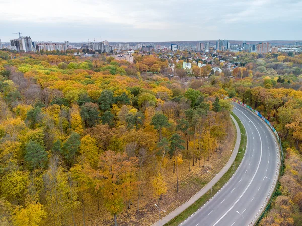 Aerial Scenic Road Curve Autumnal Yellow Forest Residential District Fly — Fotografia de Stock