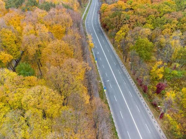 Aerial fly above traffic on scenic road in autumnal yellow forest. No cars on driving street in autumn city park. Treetop view on Kharkiv, Ukraine