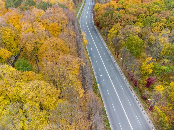 Aerial Fly Traffic Scenic Road Autumnal Yellow Forest Cars Driving — Fotografia de Stock
