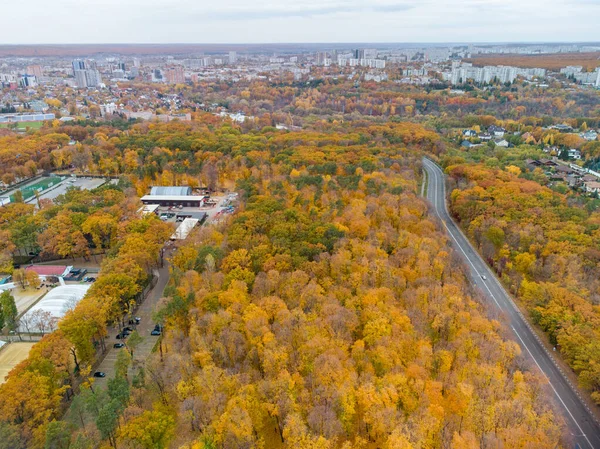 Aerial Traffic Scenic Road Autumnal Yellow Forest Fly Driving Street — Fotografia de Stock