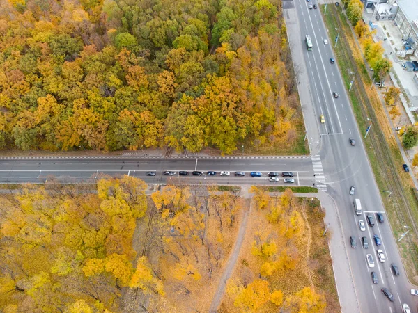 Aerial Scenic Road Autumnal Yellow Forest Fly Cars Driving Streets — стокове фото