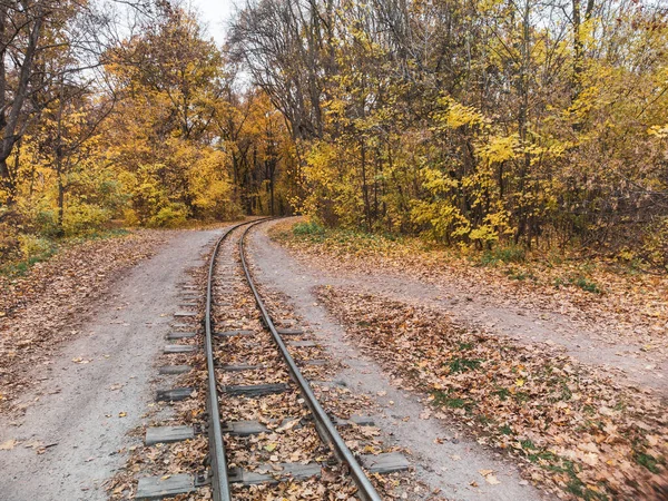 Aerial Railway Track Line Bright Yellow Leaves Autumn Forest Colorful — Stock Fotó