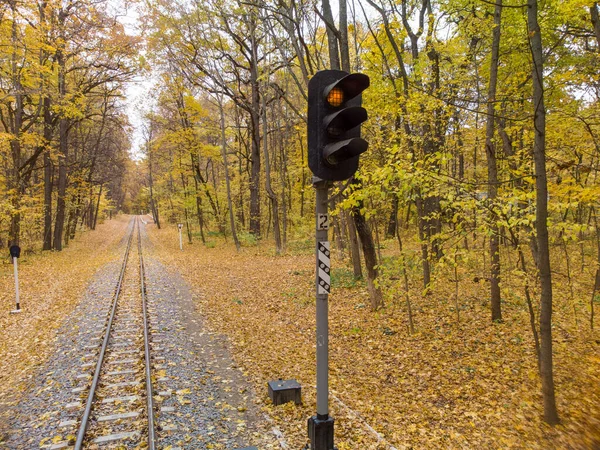 Train Traffic Light Railway Track Line Bright Yellow Leaves Autumn — Stock Fotó