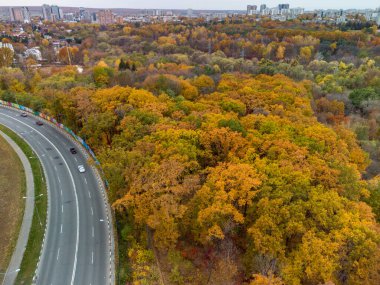 Havadan bakıldığında, sonbahar sarı ormanında manzara yolu trafiği. Autumn City Parkı 'nda arabaların üzerinden uç. Kharkiv, Ukrayna 'da ağaç tepesi görünümü