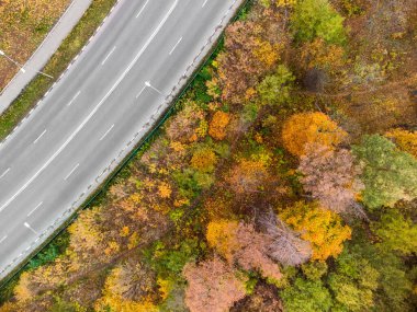 Look down on driveway street in autumn city park. Aerial on scenic empty road curve in autumnal yellow forest. Treetop view on Kharkiv, Ukraine