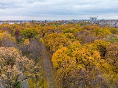 Railway track line perspective view in yellow autumn forest with gray cloudy sky. Aerial treetop on Children's Southern Railway in Kharkiv, travel Ukraine