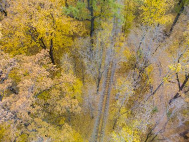 Aerial above railway track line in vivid yellow autumn forest. Treetop view on colorful Children's Southern Railway in Kharkiv, travel Ukraine