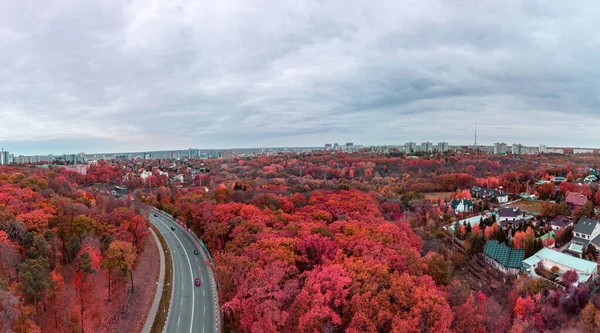 Aerial Panorama Scenic Asphalt Road Curve Red Colored Autumnal Forest — Fotografia de Stock
