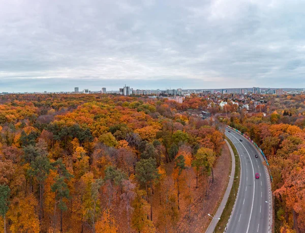 Aerial Scenic Road Curve Autumnal Trees Residential District Fly Street — Fotografia de Stock