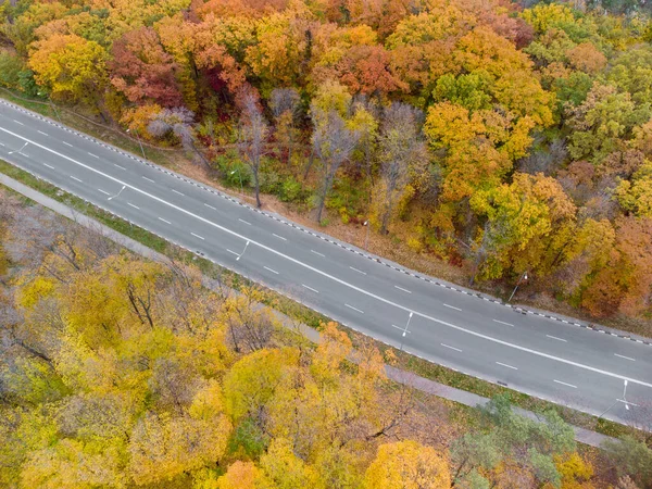 Look Driveway Street Autumn City Park Aerial Scenic Empty Road — Fotografia de Stock