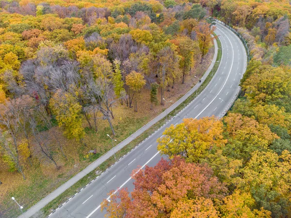 Fly Driveway Street Autumn City Park Aerial Scenic Empty Road — Fotografia de Stock