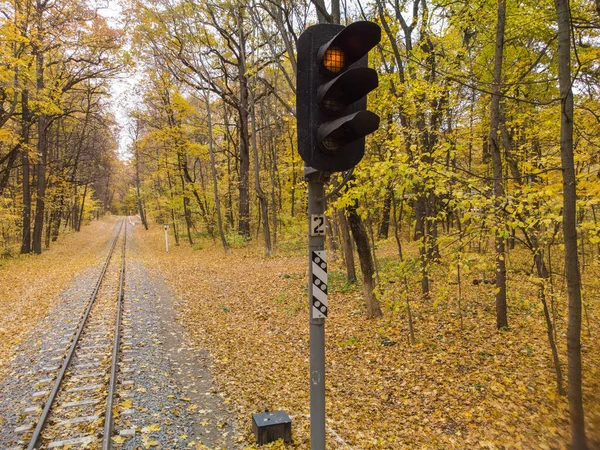Train Traffic Light Railway Track Line Bright Yellow Leaves Autumn —  Fotos de Stock