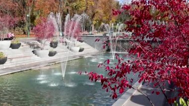 Ağır çekimde fıskiyeler. Renkli sonbahar Shevchenko Şehir Bahçesi, kırmızı yapraklı ağaç dalları ve gökkuşağı. Central Park 'ta turistik eğlence, Kharkiv, Ukrayna' da eğlence