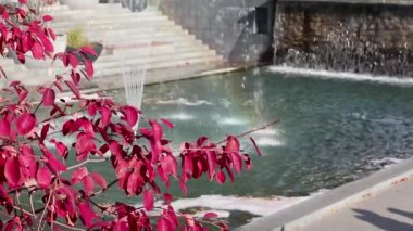 Ağır çekimde fıskiyeler. Canlı bir sonbahar olan Shevchenko Şehir Bahçesi 'nde kırmızı yapraklar, ağaç dalları ve gökkuşağı var. Turistik eğlence, Central City Park manzarası, Kharkiv, Ukrayna 'da eğlence.