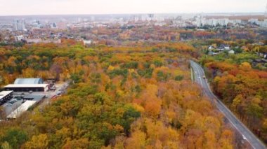 Ters hava, sonbahar sarı ormanlarında manzaralı yol trafiği. Autumn City merkez parkında arabaların üzerinden uç. Kharkiv, Ukrayna 'da ağaç tepesi görünümü