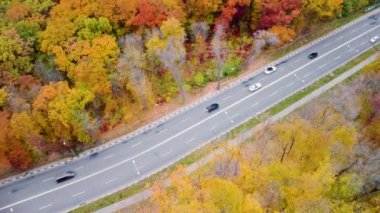 Hava manzarası, sonbahar sarı ormanındaki manzaralı yol trafiği. Autumn City Parkı 'nda arabaların üzerinden uç. Kharkiv, Ukrayna 'da ağaç tepesi görünümü