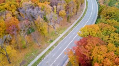 Sonbahar sarı ormanında hava trafiği üzerinde geri geri uçar. Autumn City Parkı 'nda arabaların üzerinden uç. Kharkiv, Ukrayna 'da ağaç tepesi görünümü
