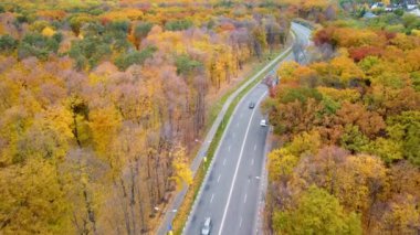 İleri hava sahnesi, sonbahar sarı ormanındaki manzaralı yolda trafik. Autumn City Parkı 'nda arabaların üzerinden uç. Kharkiv, Ukrayna 'da ağaç tepesi görünümü