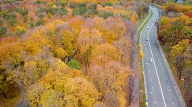 Sonbahar sarı ormanında hava manzaralı bir yol. Autumn City Parkı 'nda arabaların üzerinden sağa uç. Kharkiv, Ukrayna 'da ağaç tepesi görünümü