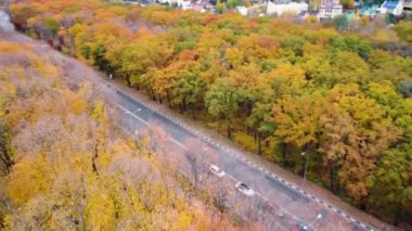 Sonbahar sarı ormanında hava manzaralı bir yol. Autumn City Parkı 'nda arabaların üzerinden uç. Kharkiv, Ukrayna 'da ağaç tepesi görünümü