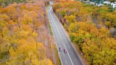 Sonbahar sarı ormanında hava manzaralı yol. Autumn City Parkı 'nda arabaların üzerinden uç. Kharkiv, Ukrayna 'da ağaç tepesi görünümü