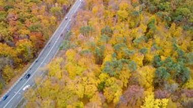 Hava, sonbahar sarı ormanında manzaralı yolda nakliye. Autumn City Parkı 'nda arabaların üzerinden uç. Ağaç manzaralı Harkiv, Ukrayna