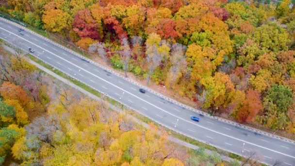 Spójrz Dół Sceny Ruch Malowniczej Drodze Jesiennym Żółtym Lesie Latać — Wideo stockowe