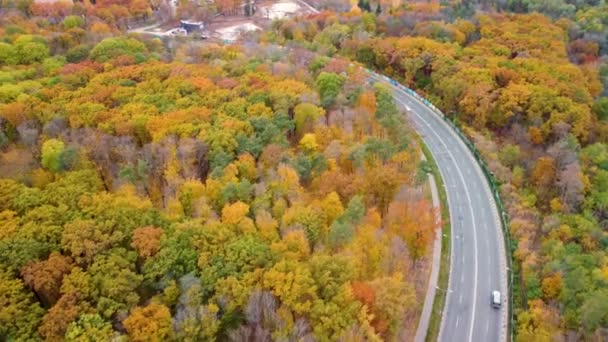 Letecký provoz na malebné silnici se stáčí v podzimním žlutém lese. Leť nad auty v podzimním městském parku. Stromový pohled na Charkov, Ukrajina