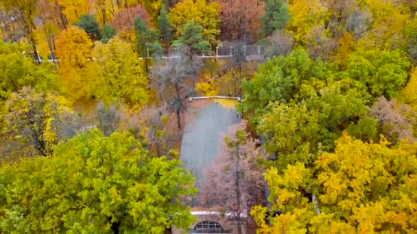 子供の南駅の上を後方に飛ぶ 線路や列車鮮やかな黄色の秋の森の中で流す カラフルなハリコフの空中ツリートップビュー 旅行ウクライナ — ストック動画
