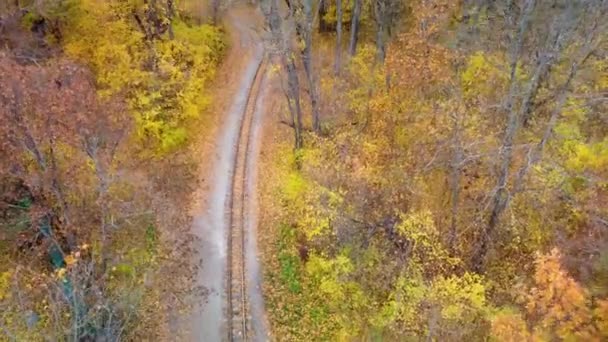 Вид Сверху Вниз Пролет Над Железнодорожной Линией Ярко Желтых Листьях — стоковое видео