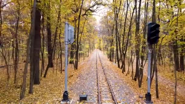 Vola Avanti Tra Due Semafori Grigi Sopra Linea Ferroviaria Foglie — Video Stock