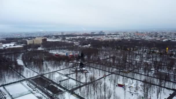 Luchtfoto Besneeuwde Steegjes Attracties Reuzenrad Winters Amusement Gorky Central Park — Stockvideo