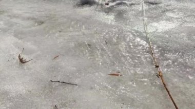 Eriyen beyaz kar üzerinde akan temiz kaynak suyu akıntısı güneş ışığında kıvılcımlar saçar. Vahşi doğa su yüzeyi yakın görünüm