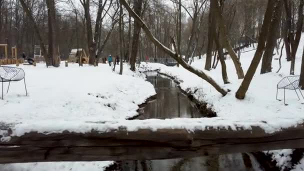 带着一群鸭子飞过冬城公园的溪流 乌克兰哈尔科夫冬季白色娱乐区 鸟儿在游动 人们在雪地里散步 — 图库视频影像