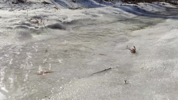 Fluxo Água Nascente Clara Que Corre Sobre Derreter Neve Branca — Vídeo de Stock