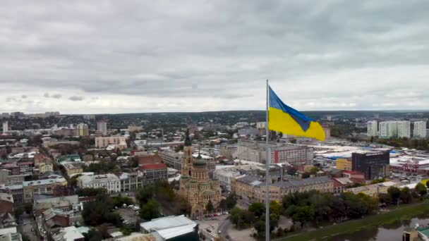 Drapeau Jaune Bleu Ukraine Agitant Vent Sur Mât Drapeau Avec — Video