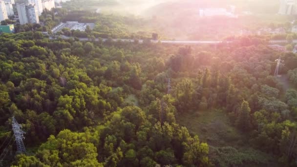 Aerial Sunrise Morning Forward Flight Multistory Buildings Greenery Fog Dawn — Stock Video