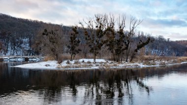 Kış nehri, karlı sahillerde çıplak ağaçların yansıması. Ukrayna 'nın Siverskyi Donets Nehri üzerindeki Zmiyevsky bölgesi