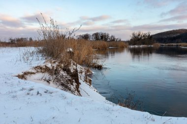 Nehirde kış manzarası, aynadan yansıyan mor bulutlar ve kıyıda kuru sazlıklar. Karla kaplı vahşi bir arazi.