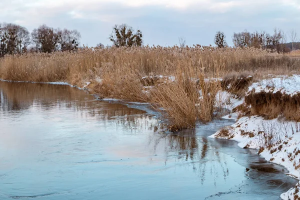 Winter View Cold River Cloudy Sky Reflection Water Dry Reed —  Fotos de Stock