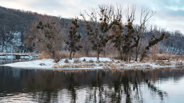 Akşamları karlı sahillerdeki ağaçların manzaralı yansıması olan kış nehri. Ukrayna 'nın Siverskyi Donets Nehri üzerindeki Zmiyevsky bölgesi