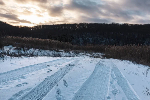 Kırsal bölgede lastik izleri olan karlı, beyaz kırsal bir yol. Akşam kış manzarası. Güneş, ağır bulutlar gökyüzü, sazlıklar ve karanlık ağaçlar orman tepesi.