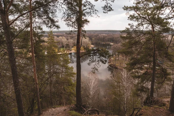 Scenic View River Tall Pine Trees Cossack Mountain Korobovy Hutora — Stockfoto