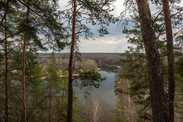 Весняні Краєвиди Річці Сосновим Лісом Гора Коробові Гутора Гомільшанський Ліс — стокове фото