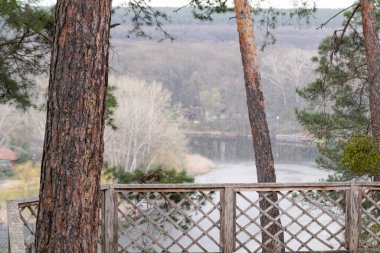 Spring rainy rural scenery view on river from viewing point with pine trees. Cossack mountain, Korobovy Hutora (Gomilshanski forest, Koropove village) on Siverskyi Donets River in Ukraine