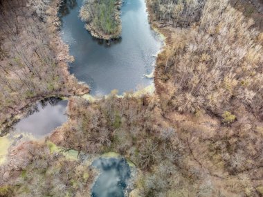Look down aerial view on spring lakes in bare trees forest. Ponds with clouds reflection in blue water. Wild nature landscape from drone